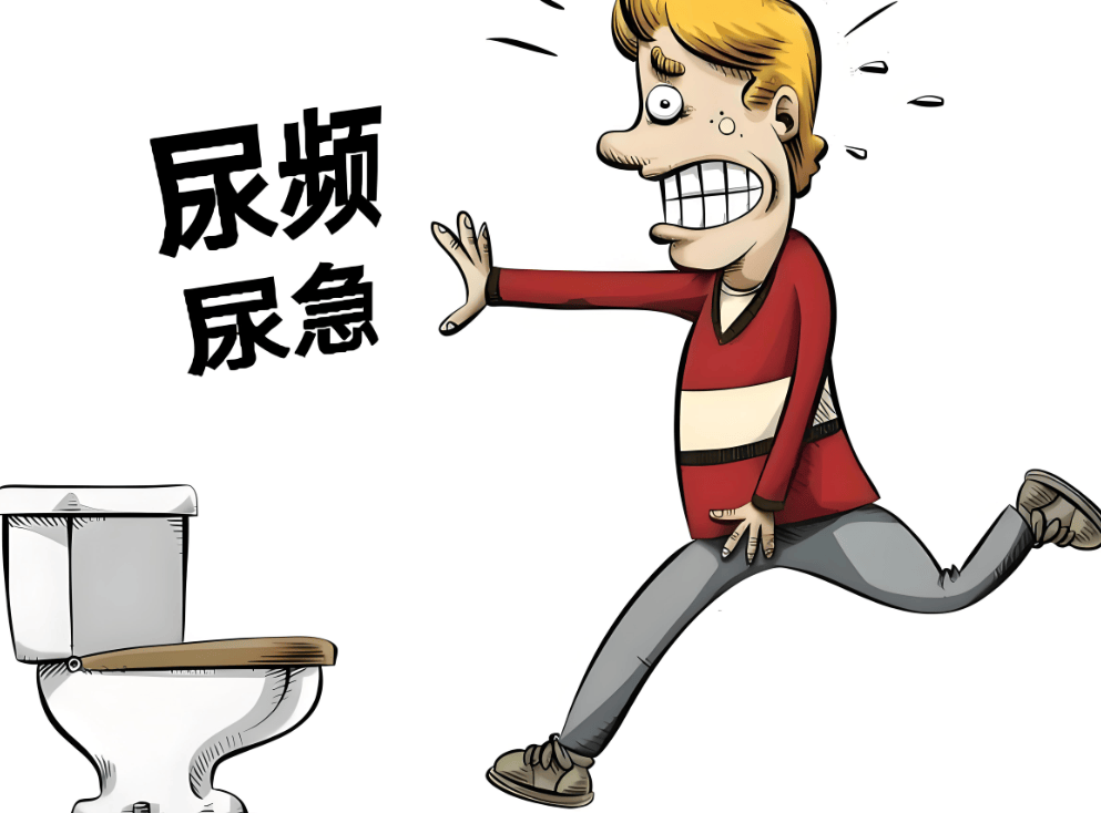 中医视角下的尿频尿急:从病机到调理,一篇读懂