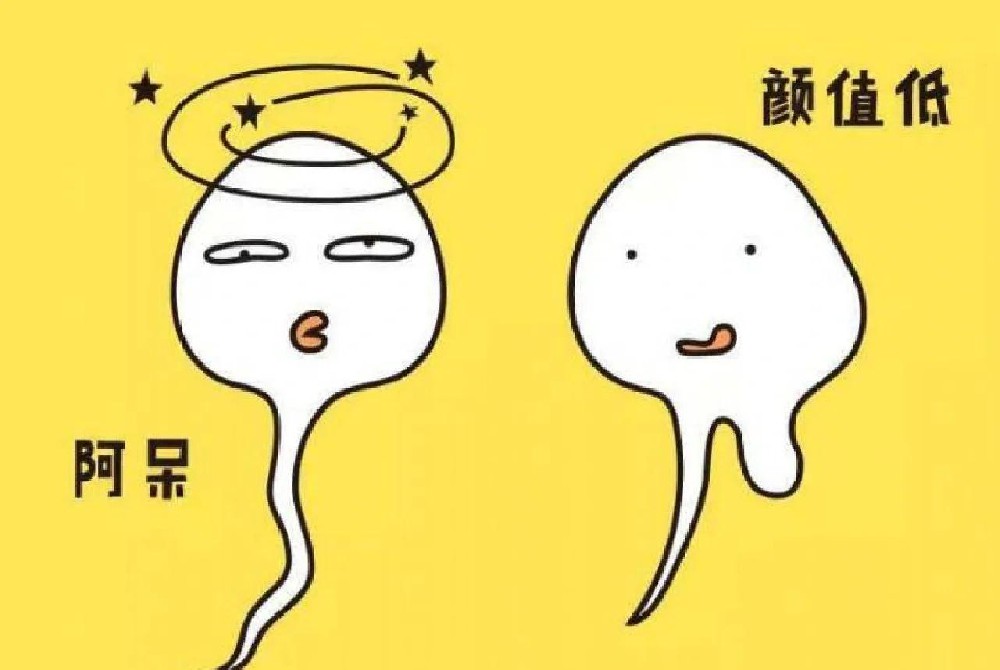 精子质量差影响生育?中医靠补肾活血帮你提升生育力